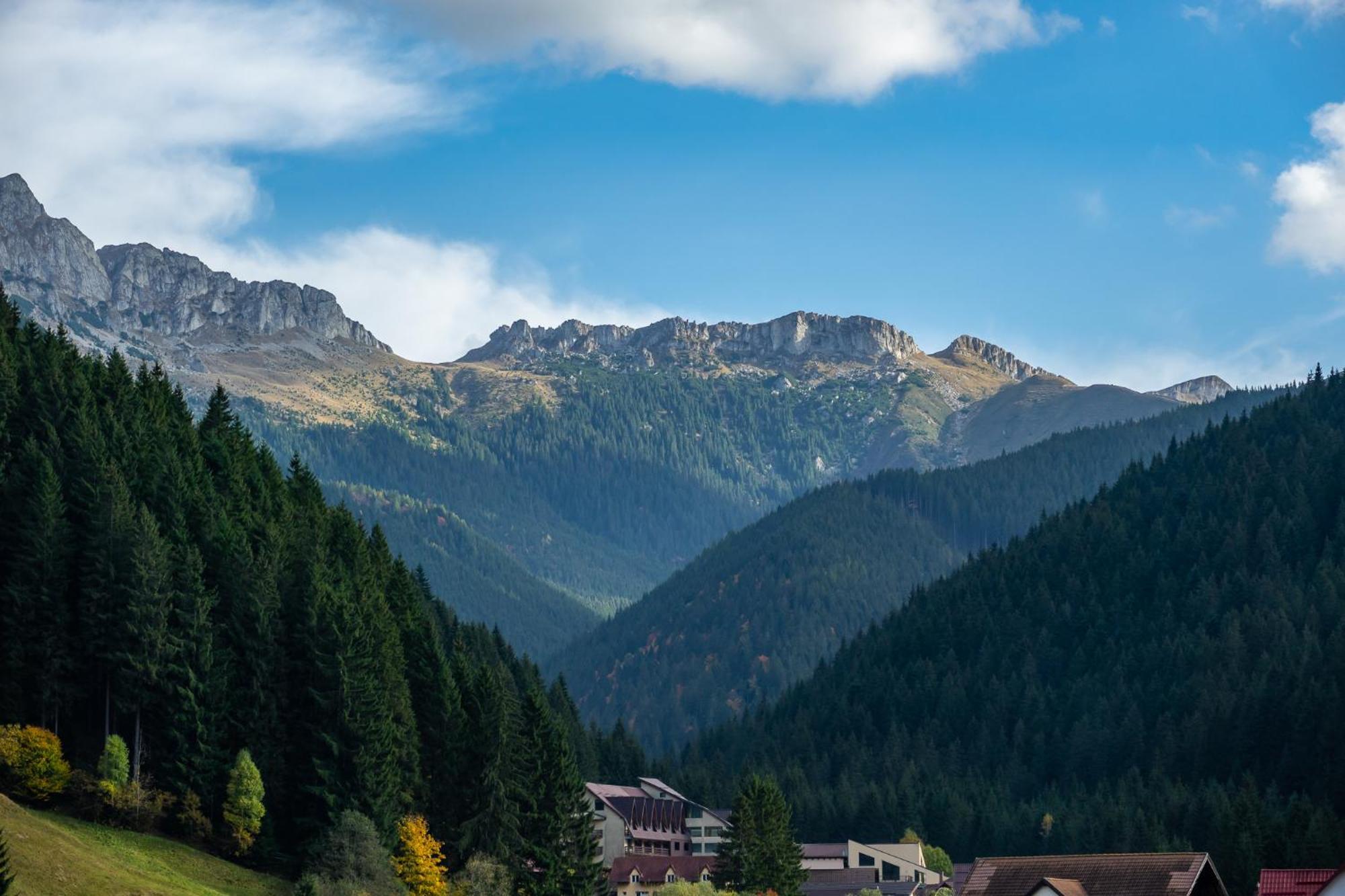 Poiana Soarelui Bed and Breakfast Moeciu De Sus Buitenkant foto