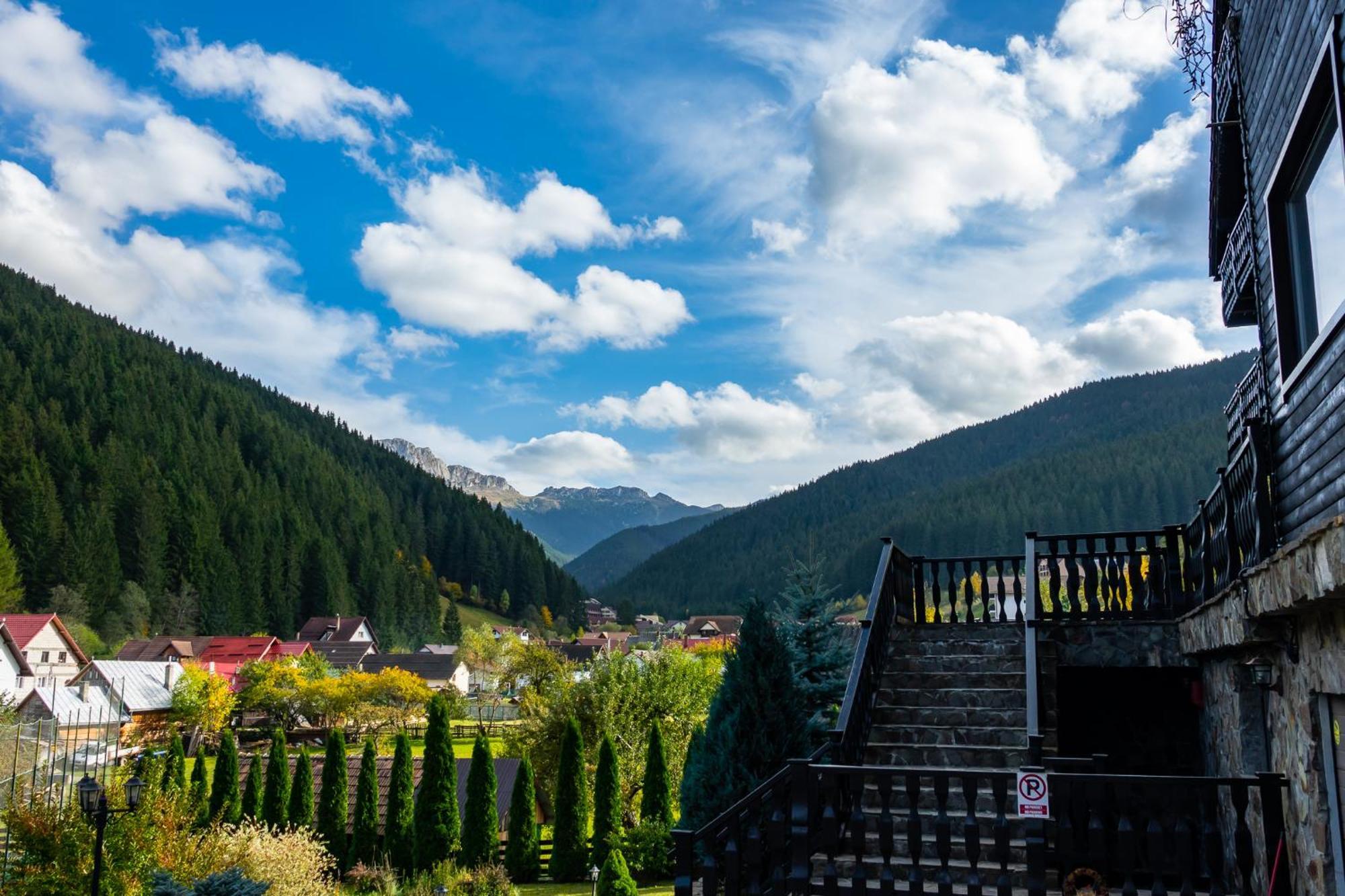 Poiana Soarelui Bed and Breakfast Moeciu De Sus Buitenkant foto